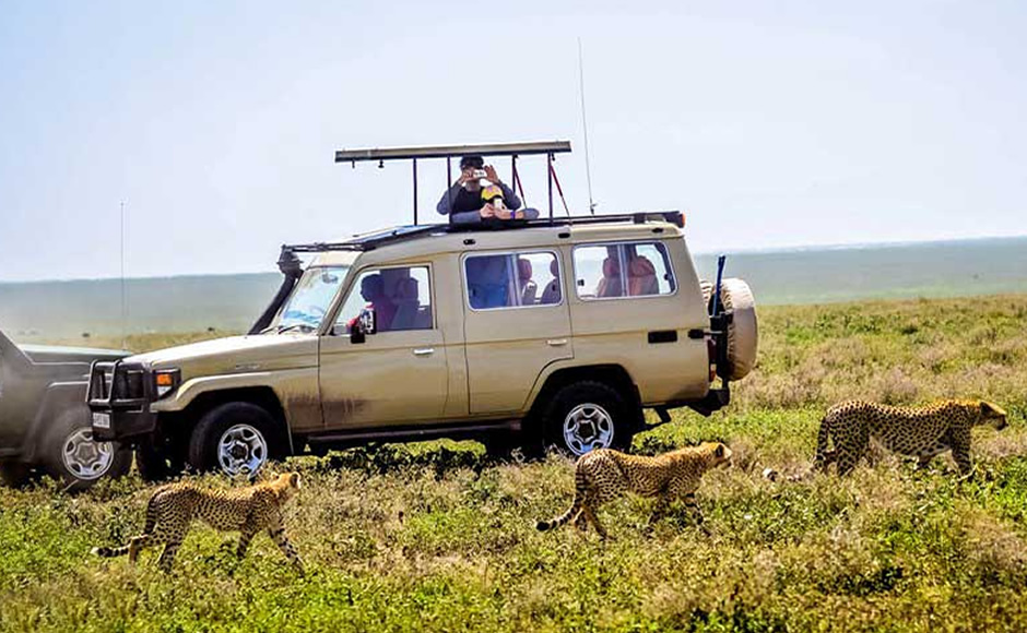 Self Drive Safari Car in Kenya